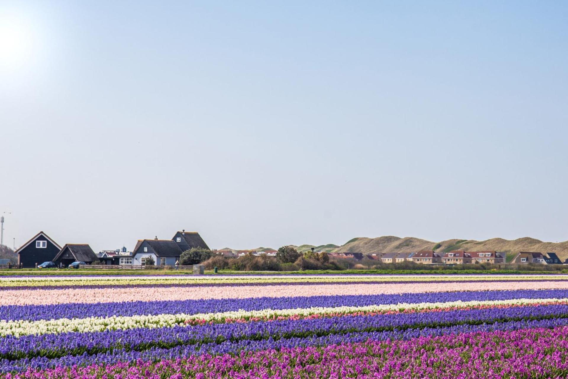 Beach Appartement 27 - Aan De Duinen, Callantsoog Aan Zee מראה חיצוני תמונה
