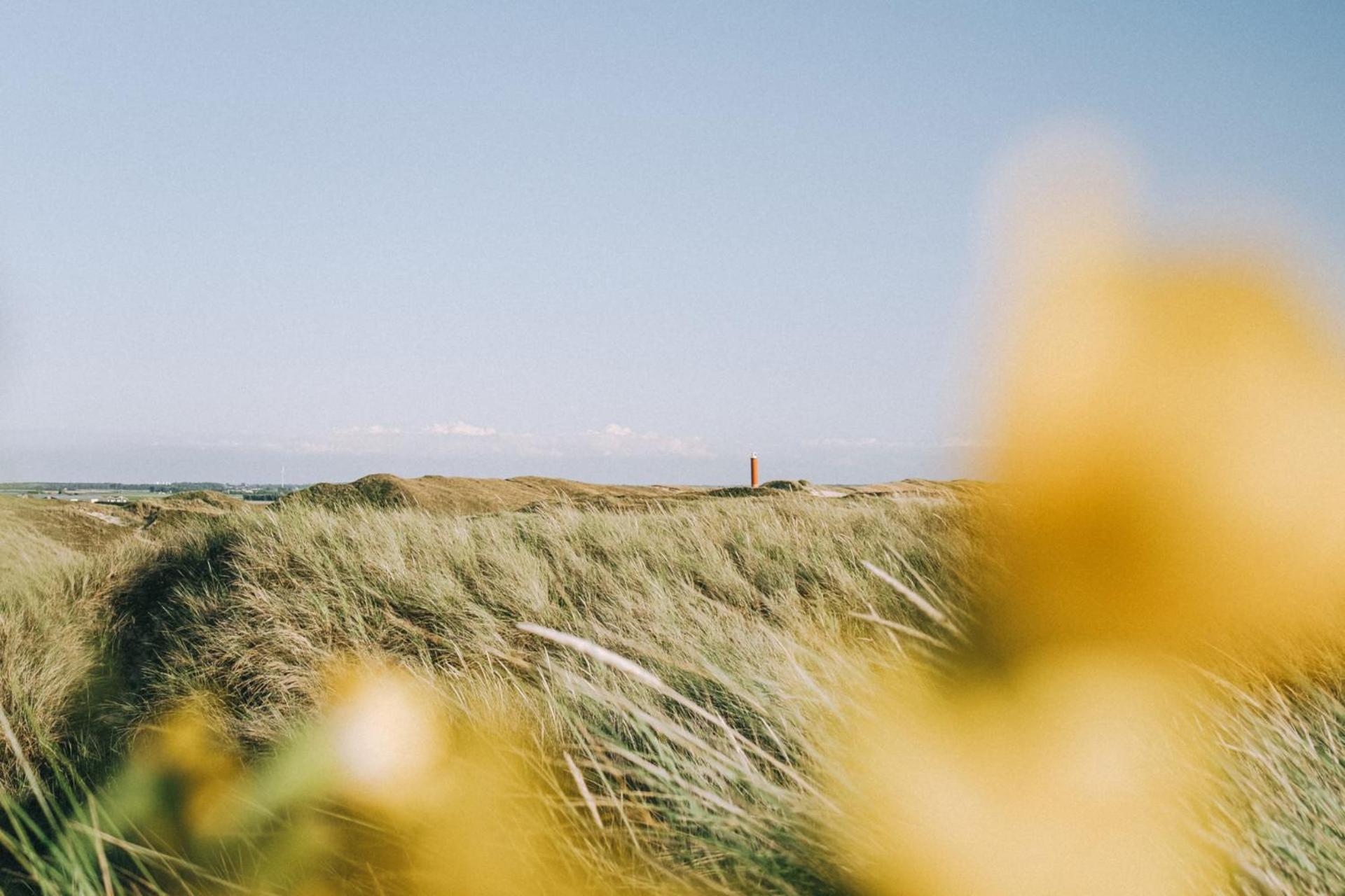 Beach Appartement 27 - Aan De Duinen, Callantsoog Aan Zee מראה חיצוני תמונה